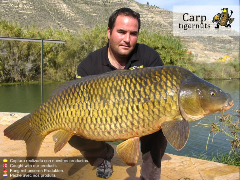 Maize Particle for carp fishing - Carps Caught With Tigernuts 07 768x576